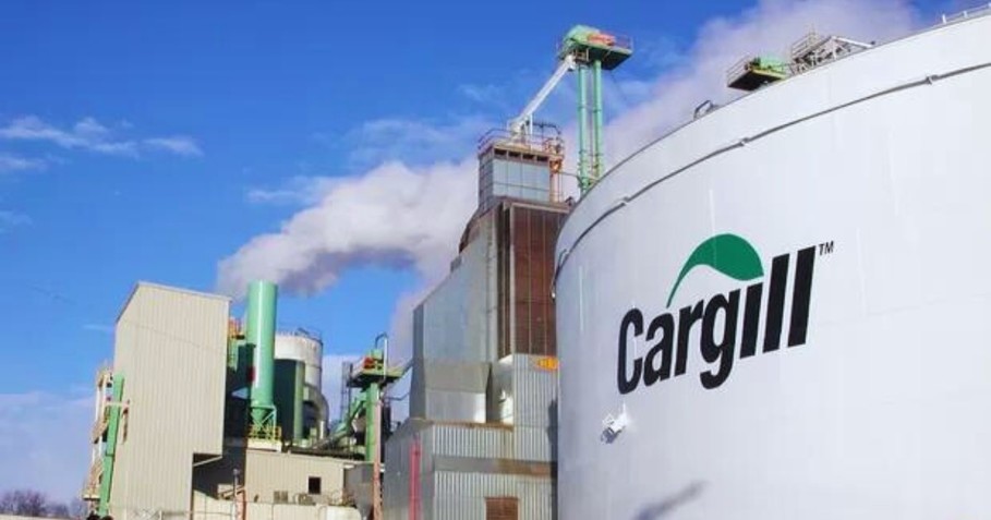 Cargill é condenada por trabalho infantil e análogo à escravidão em fazendas